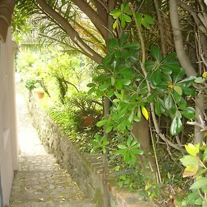  Holiday home Sunflower Cosy - Il Girasole Italy